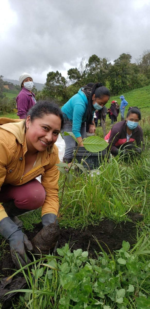 Colombia: a project that reveals the connection between environmental ...