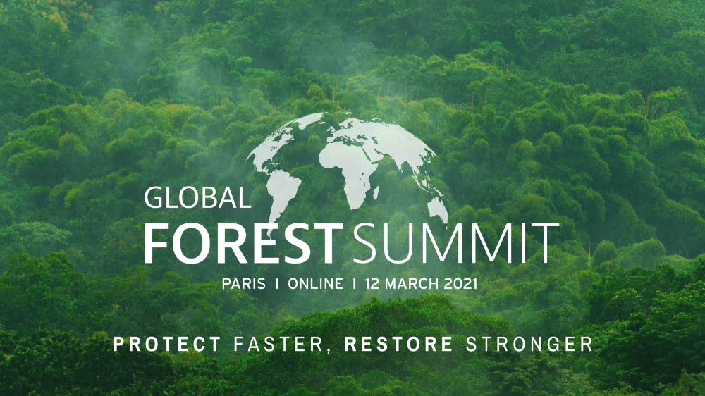 The Global Forest Summit: An Event To Accelerate Action For Forests ...