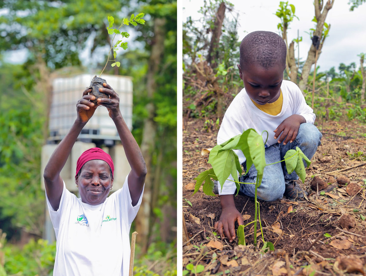 Ivory Coast: restoring degraded forests and supporting cocoa producers ...