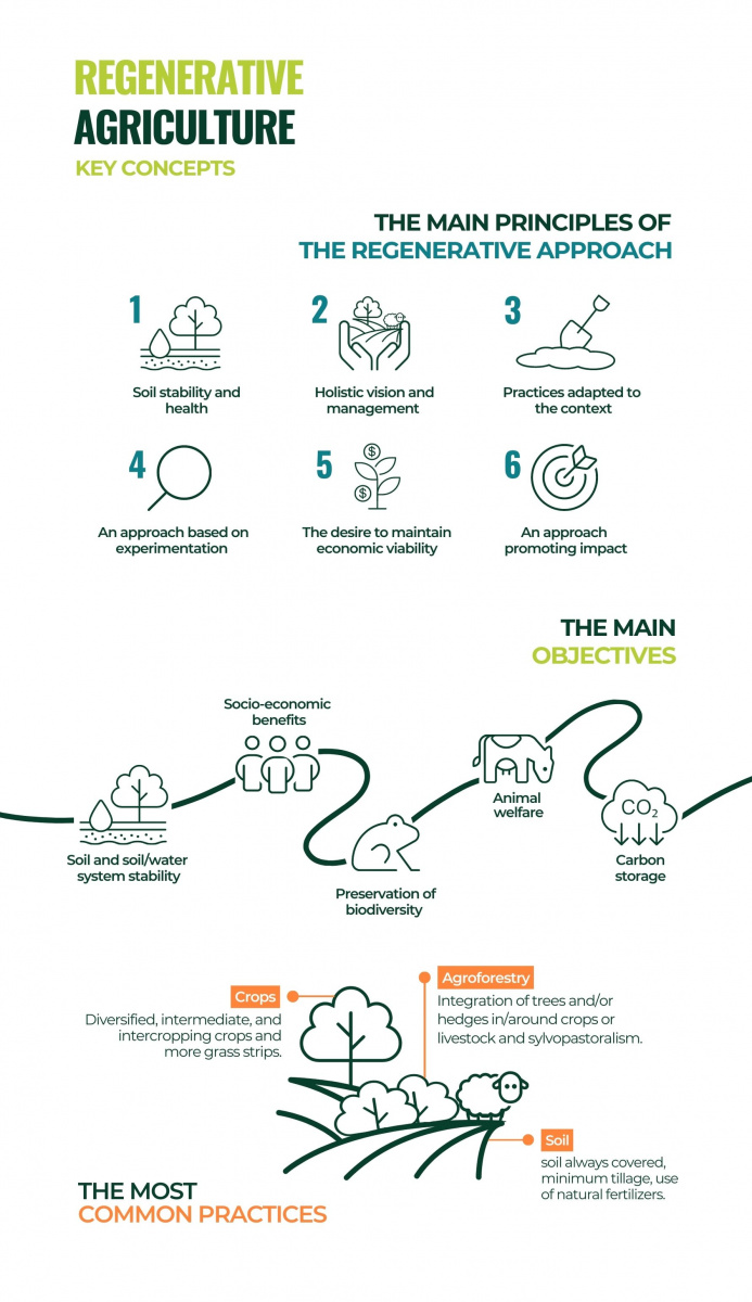 Rethinking Our Farming Model With Regenerative Agriculture, Or How To ...