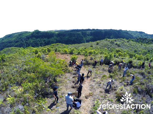 La Réunion La Grande Chaloupe Reforestaction