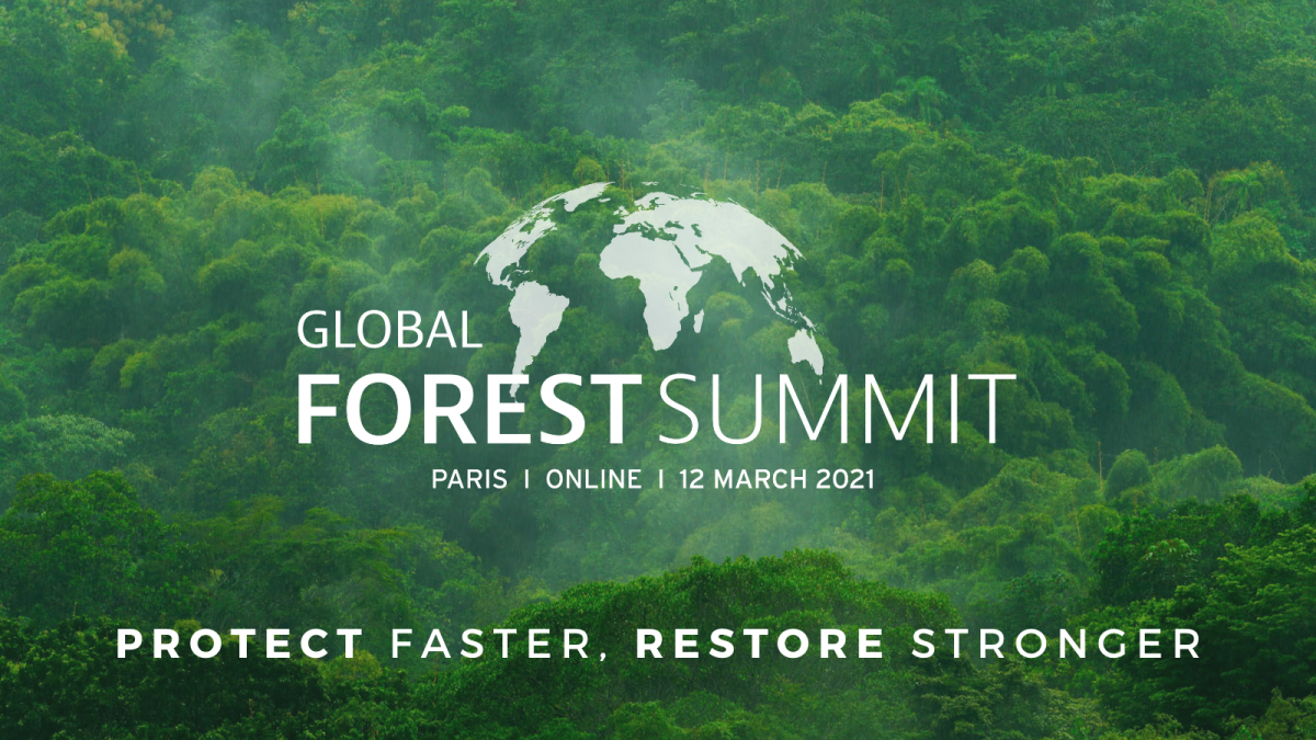 Five Initiatives In Favor Of The World's Forests By 2030 | Reforest'Action